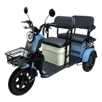 Электротрицикл Yasmand R12 Голубой